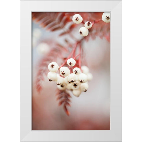 Berries on a twig White Modern Wood Framed Art Print by 1x Studio III