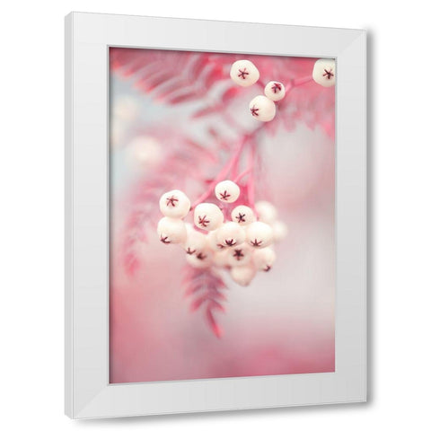 Berries on a twig No2 White Modern Wood Framed Art Print by 1x Studio III