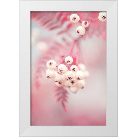 Berries on a twig No2 White Modern Wood Framed Art Print by 1x Studio III