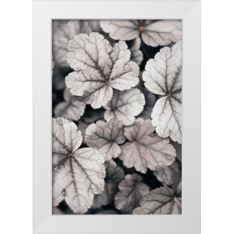 Gray-Pink Leaves White Modern Wood Framed Art Print by 1x Studio III
