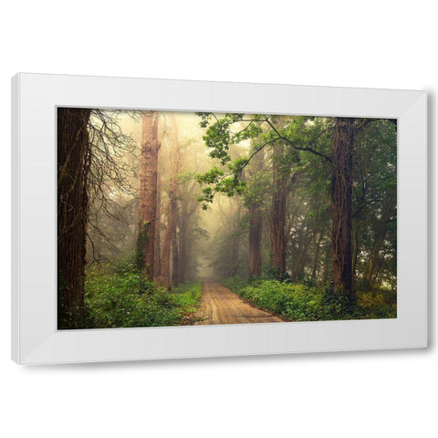 After Summer White Modern Wood Framed Art Print by Van Dongen, Anton