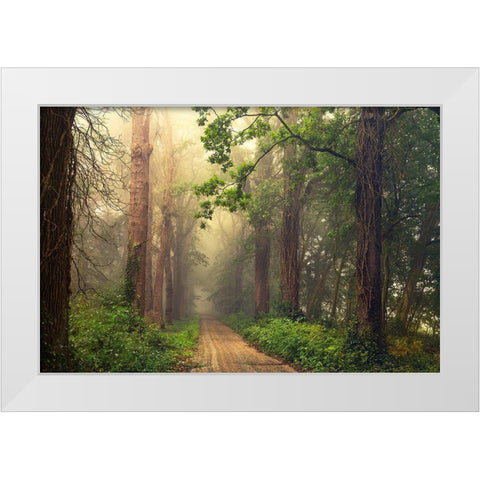 After Summer White Modern Wood Framed Art Print by Van Dongen, Anton