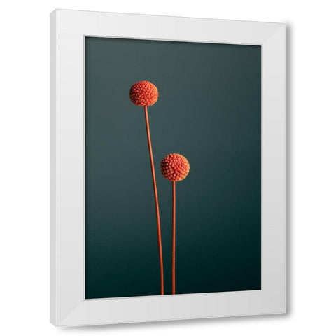 Orange Seed Capsules White Modern Wood Framed Art Print by 1x Studio III