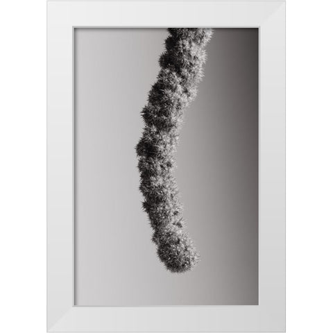 Seed Capsule Black and White White Modern Wood Framed Art Print by 1x Studio III