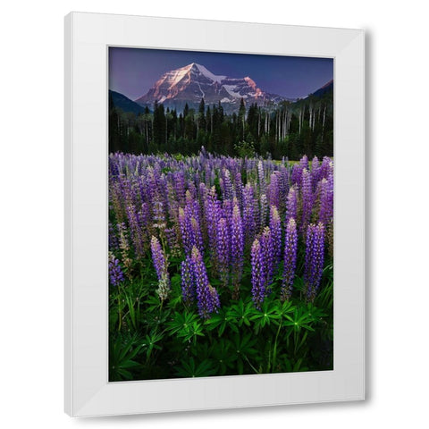 Mt Robson White Modern Wood Framed Art Print by Poushkina, Marina