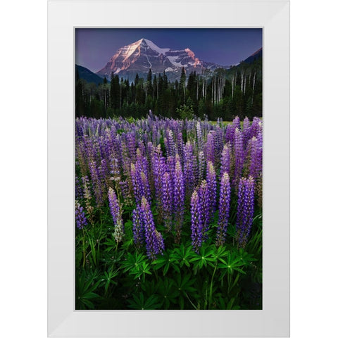 Mt Robson White Modern Wood Framed Art Print by Poushkina, Marina