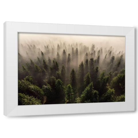 The Army Of Firs White Modern Wood Framed Art Print by Ioan Ovidiu, Lazar