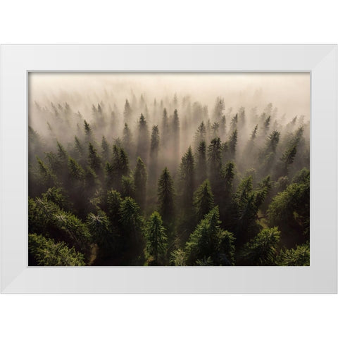The Army Of Firs White Modern Wood Framed Art Print by Ioan Ovidiu, Lazar