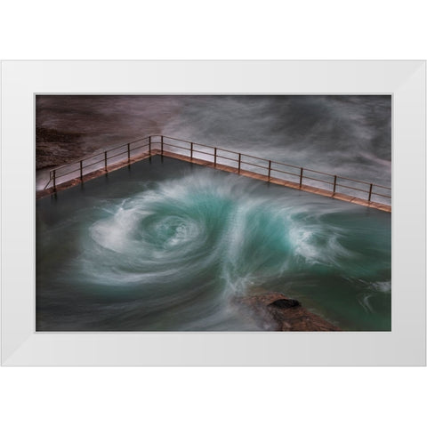 Curlie White Modern Wood Framed Art Print by Steggles, Rosie