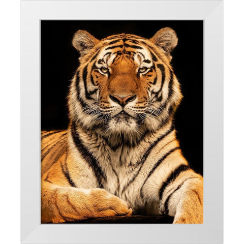 I C U White Modern Wood Framed Art Print by Zimmermann, Jorg