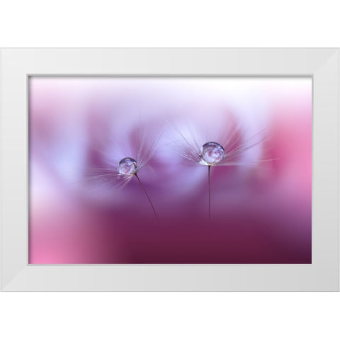 Two Worlds...II White Modern Wood Framed Art Print by Nan, Juliana