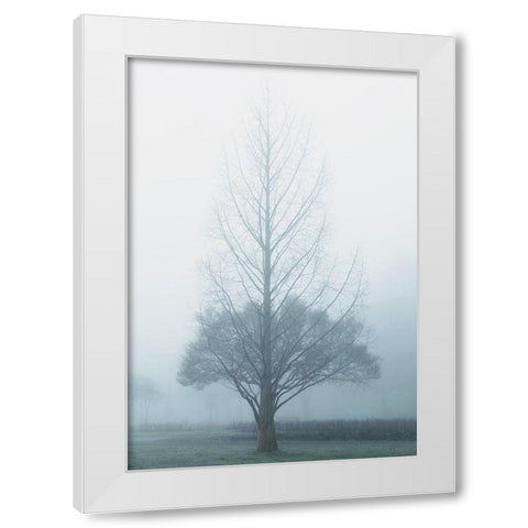 Two Trees White Modern Wood Framed Art Print by Allen, Elizabeth