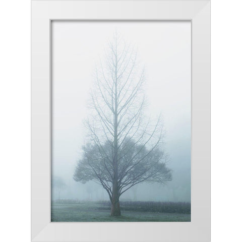 Two Trees White Modern Wood Framed Art Print by Allen, Elizabeth