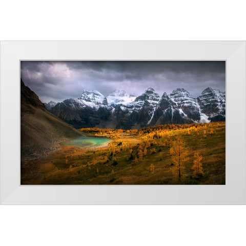 Larch Valley White Modern Wood Framed Art Print by P., Ruiqing