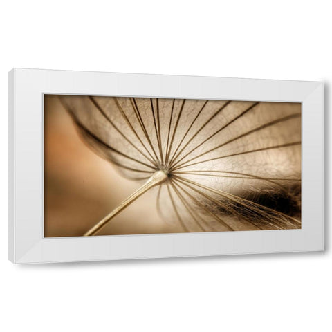Nature blood vessels White Modern Wood Framed Art Print by Pessach, Kobbie