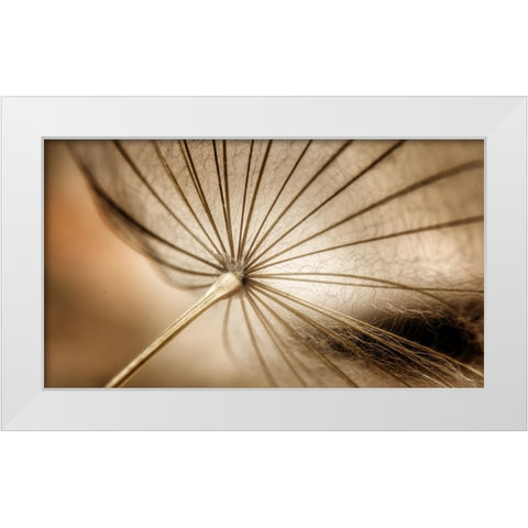 Nature blood vessels White Modern Wood Framed Art Print by Pessach, Kobbie