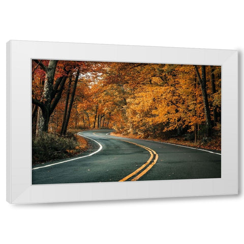 Road To Fall White Modern Wood Framed Art Print by Rong, Herbert