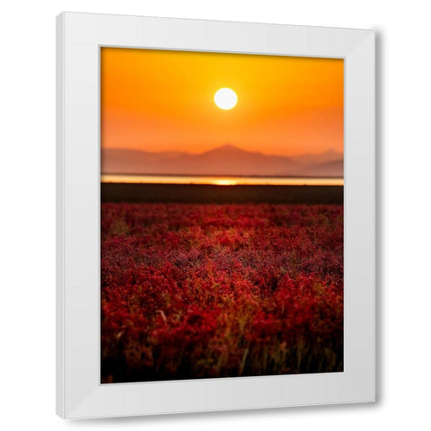 ebcsaaKINSHUa White Modern Wood Framed Art Print by Sono, Hidenori