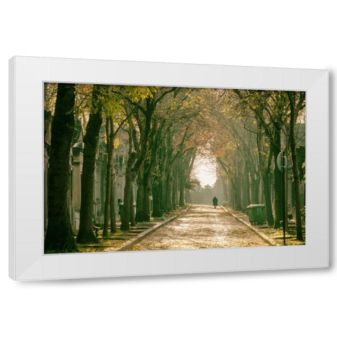 Untitled White Modern Wood Framed Art Print by Tiryakioglu, Mustafa