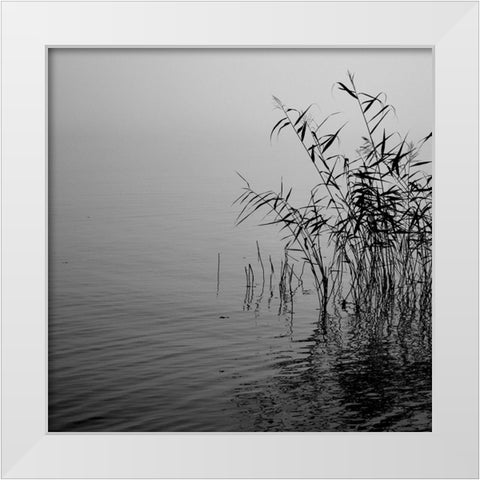 Mist over the lake 2021 White Modern Wood Framed Art Print by Riis, Poul-Erik