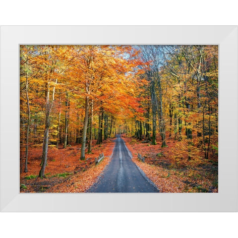 Road into autumn White Modern Wood Framed Art Print by Lindsten, Christian