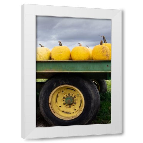 Driving Pumpkins White Modern Wood Framed Art Print by Lou, Linda