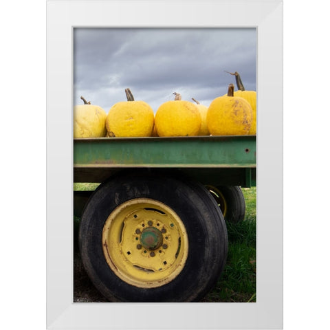 Driving Pumpkins White Modern Wood Framed Art Print by Lou, Linda