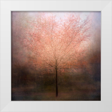 Dream Come True White Modern Wood Framed Art Print by Holmstrom, Katarina