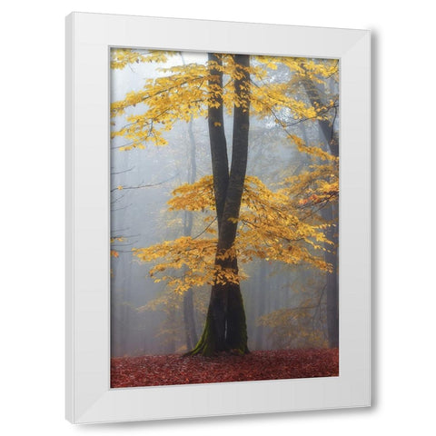 Loving trees White Modern Wood Framed Art Print by Hafezi, Shahram