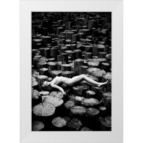 Forest White Modern Wood Framed Art Print by Markachev, Leonid