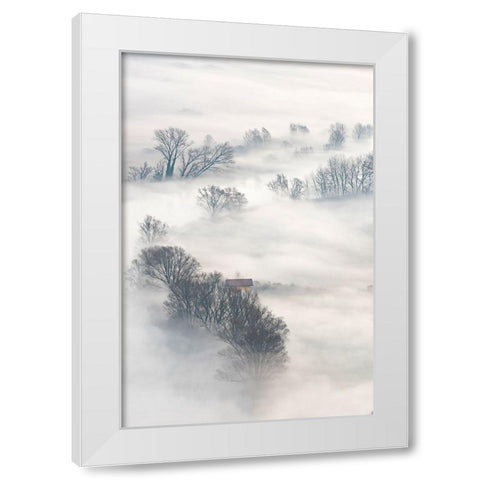 Trees In The Fog White Modern Wood Framed Art Print by Galimberti, Marco