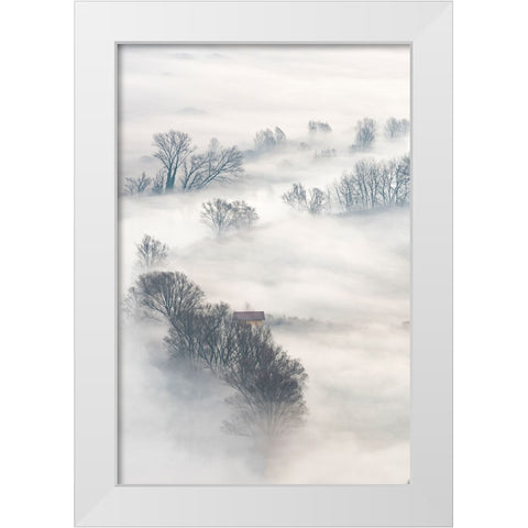 Trees In The Fog White Modern Wood Framed Art Print by Galimberti, Marco