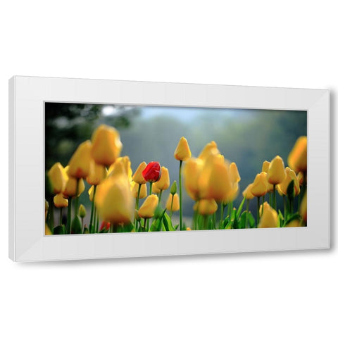 Untitled White Modern Wood Framed Art Print by Hall, Harry