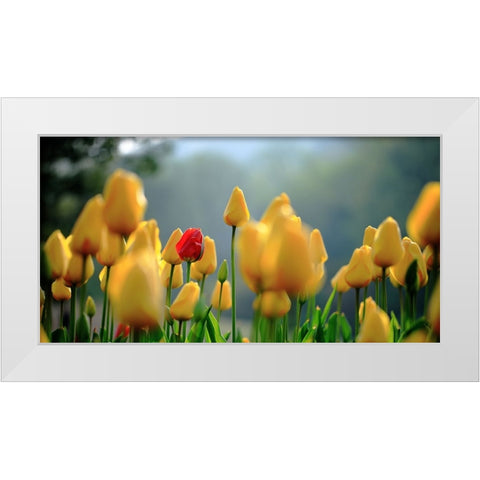 Untitled White Modern Wood Framed Art Print by Hall, Harry