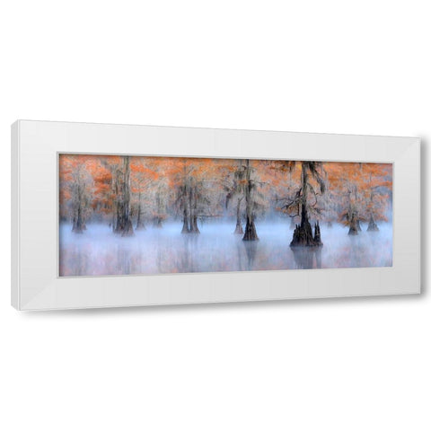 Caddo Lake White Modern Wood Framed Art Print by Zhu, Hua
