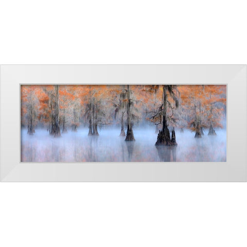 Caddo Lake White Modern Wood Framed Art Print by Zhu, Hua