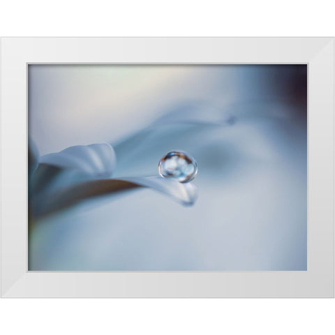 Non mi lasciare White Modern Wood Framed Art Print by Bonazza, Lara