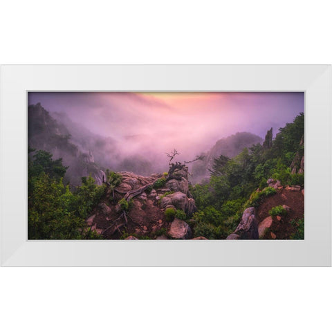 New Life White Modern Wood Framed Art Print by Seo, Tiger