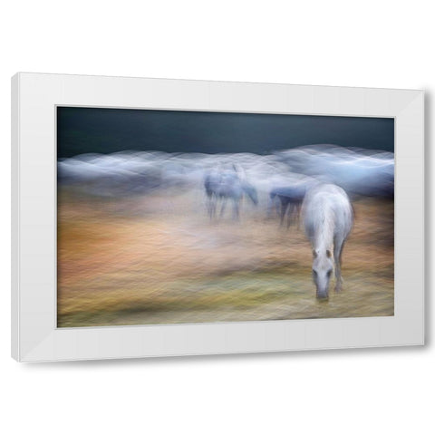 On the pasture White Modern Wood Framed Art Print by Malovrh, Milan