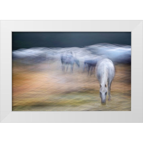 On the pasture White Modern Wood Framed Art Print by Malovrh, Milan