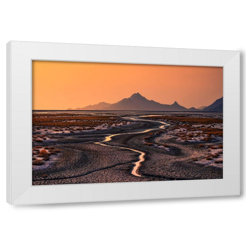 Drought White Modern Wood Framed Art Print by Seo, Tiger