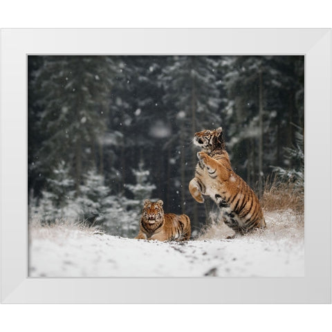 It Is Snowing White Modern Wood Framed Art Print by Firesova, Michaela