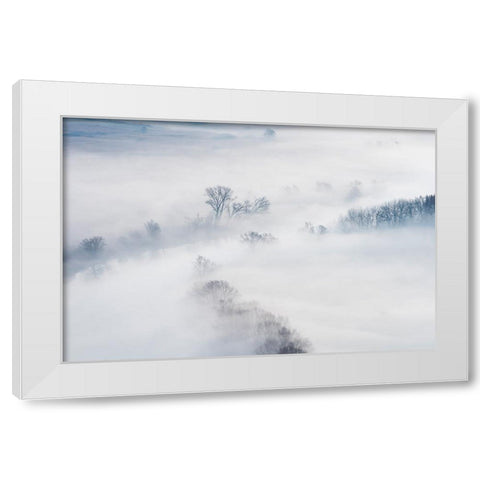 Winter White Modern Wood Framed Art Print by Galimberti, Marco