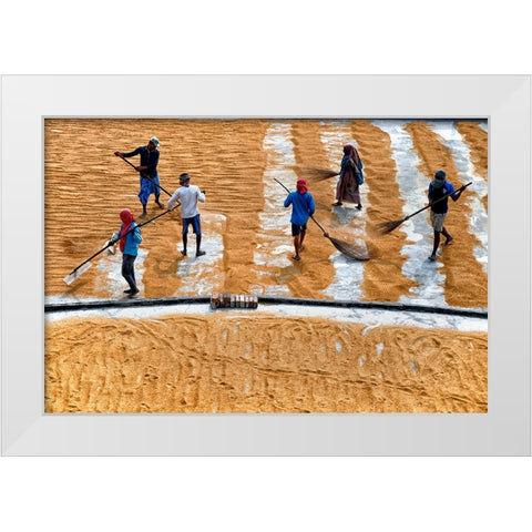 Paddy Drying13 White Modern Wood Framed Art Print by Nandi, Shaibal