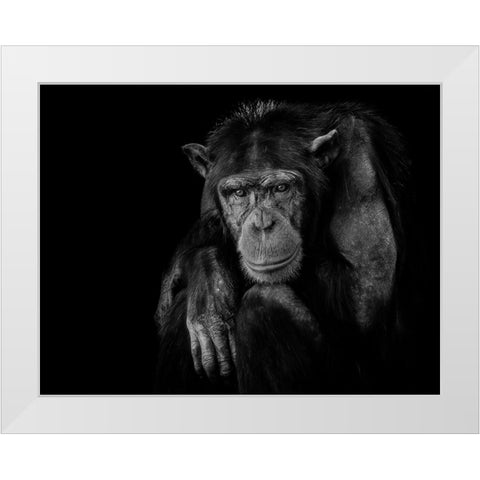 Youth dont last forever. White Modern Wood Framed Art Print by Baez Photography, Nauzet