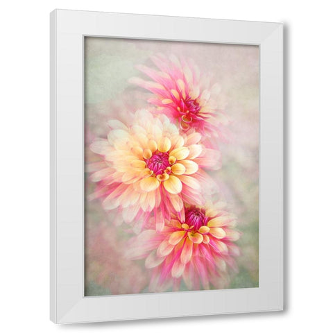 Trio White Modern Wood Framed Art Print by Parker, Jacky