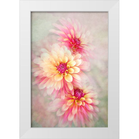 Trio White Modern Wood Framed Art Print by Parker, Jacky