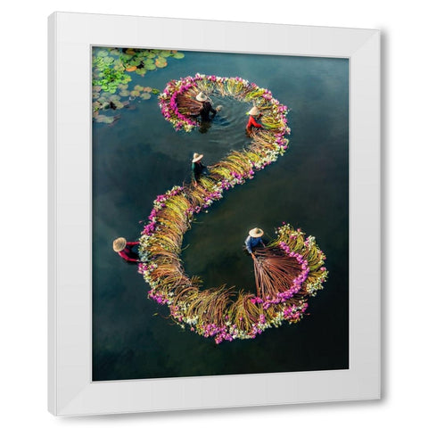 Harvesting water lilies v15 White Modern Wood Framed Art Print by Tan Tuan, Nguyen