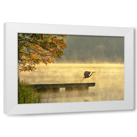 Morning flight White Modern Wood Framed Art Print by Zhang, Eric