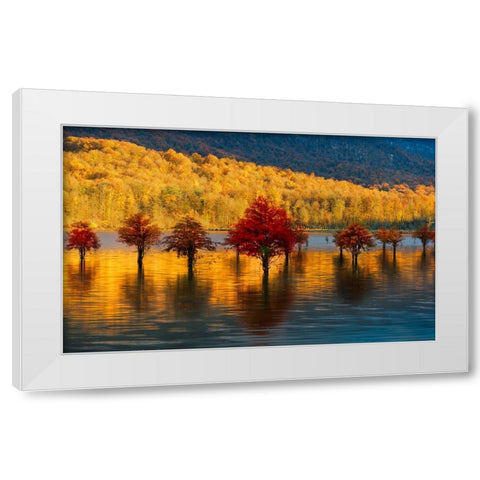 Golden sunset White Modern Wood Framed Art Print by Fallahzadeh, Ali